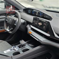 شانجان يوني في